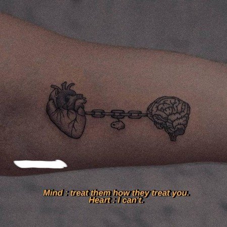  عکس های مغز