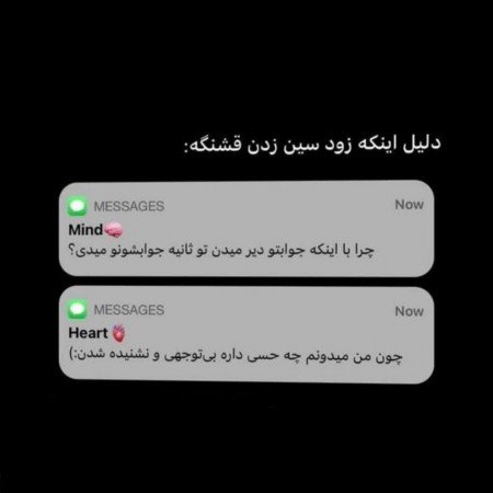  عکس های مغز