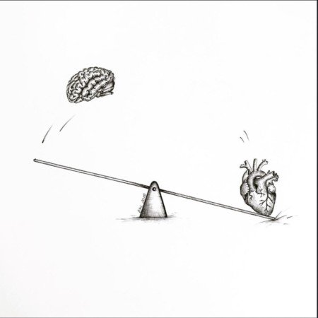  عکس های مغز