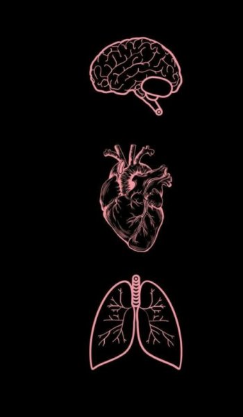  عکس های مغز