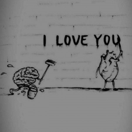  عکس های مغز