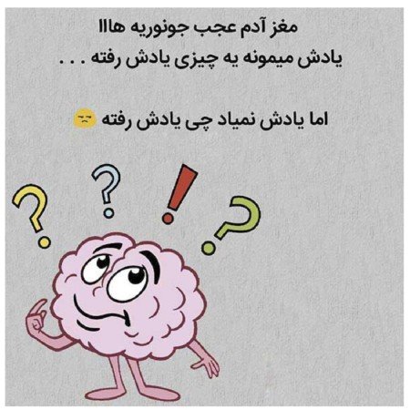  عکس های مغز