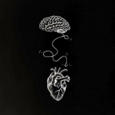  عکس های مغز