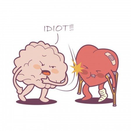  عکس های مغز