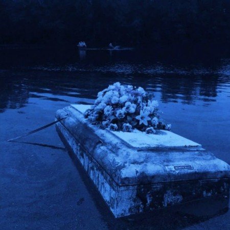  عکس های مغز