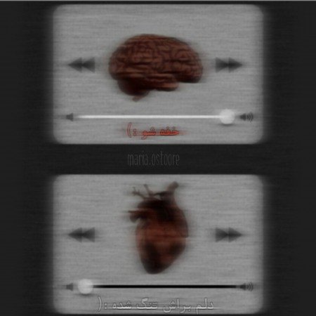  عکس های مغز