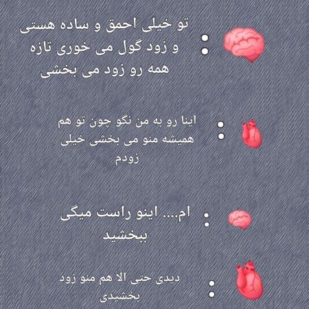  عکس های مغز