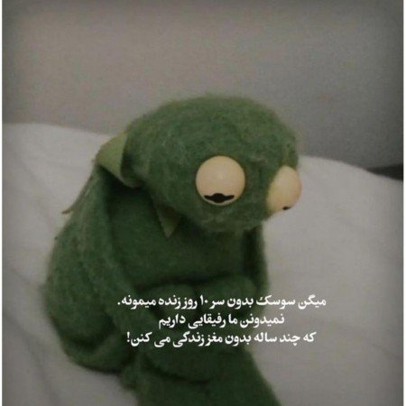  عکس های مغز