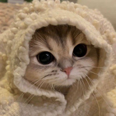  عکس های پروف