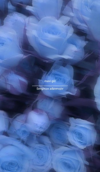  854 عکس نوشته