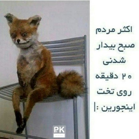  854 عکس نوشته