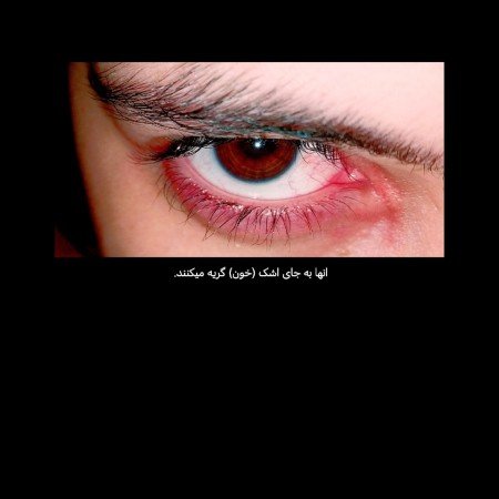  854 عکس نوشته