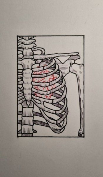  عکس های پست طراحی