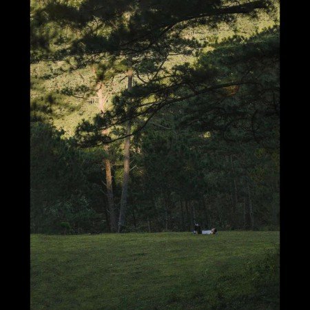  عکس های آرامش