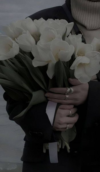  عکس های آرامش