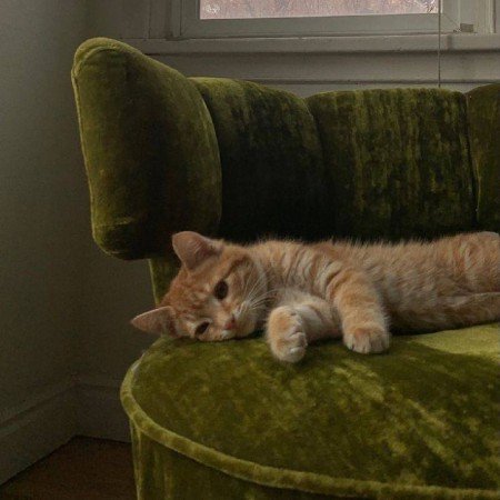  عکس های آرامش