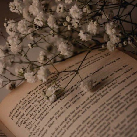  عکس های آرامش