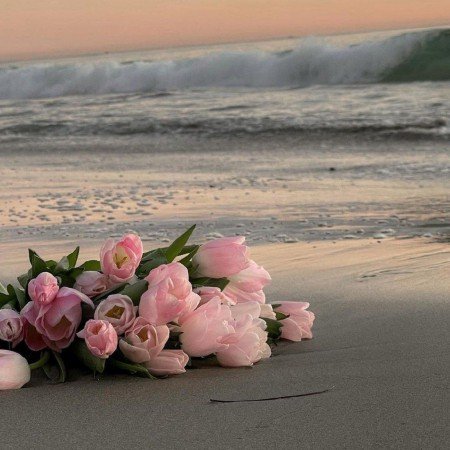  عکس های آرامش