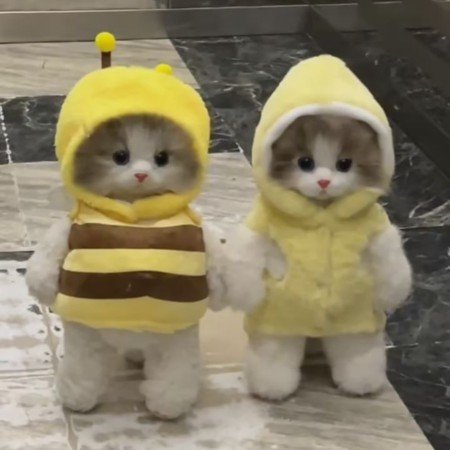  عکس های حیوانات