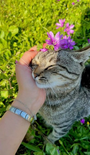  عکس های حیوانات