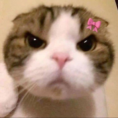  عکس های حیوانات