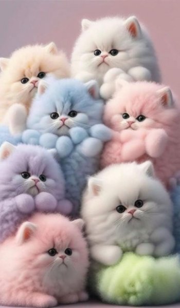  عکس های حیوانات