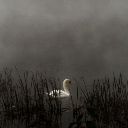  عکس های طبیعت