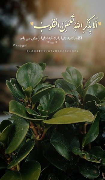  عکس های خدا