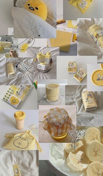  عکس های غذا