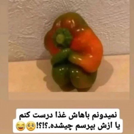  عکس های غذا