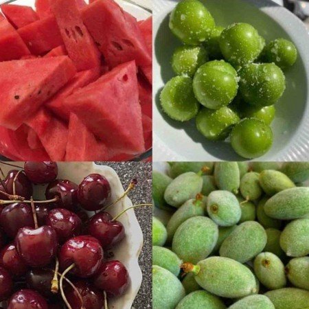  عکس های غذا