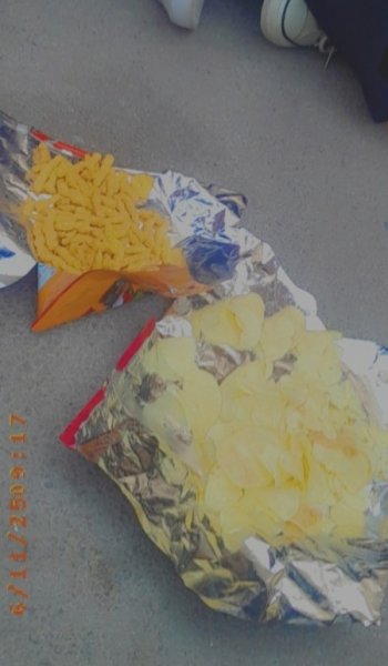  عکس های غذا