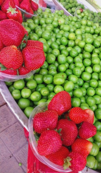  عکس های غذا