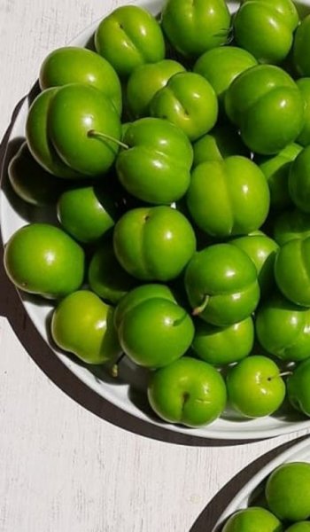  عکس های غذا