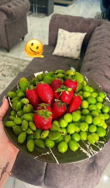  عکس های غذا