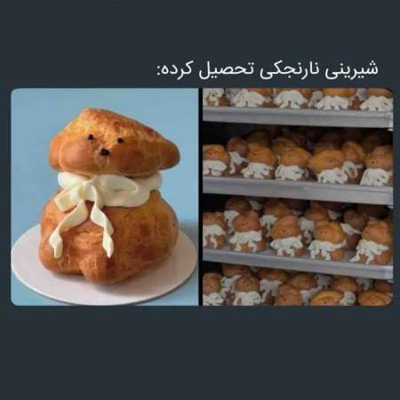  عکس های غذا