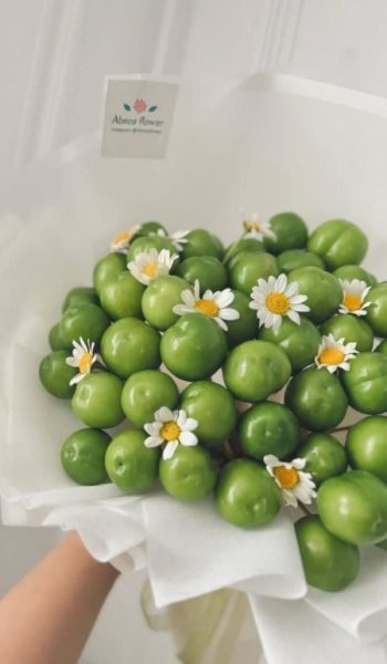  عکس های غذا