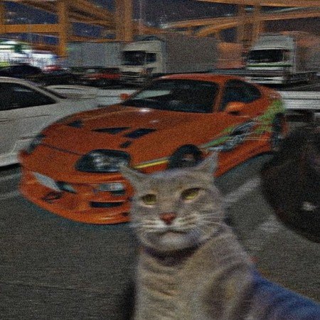  عکس های گنگ