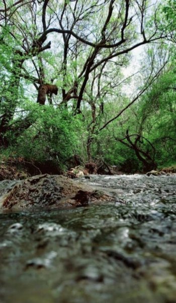  عکس های استوری طبیعت