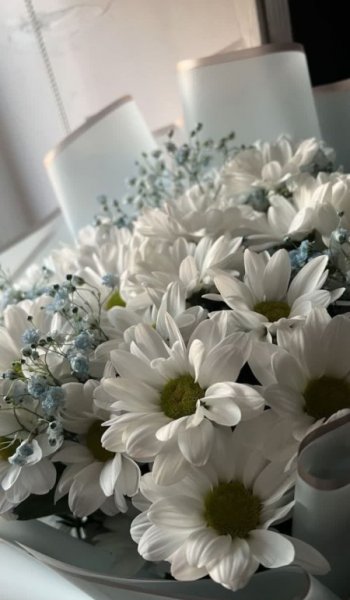  عکس های استوری طبیعت