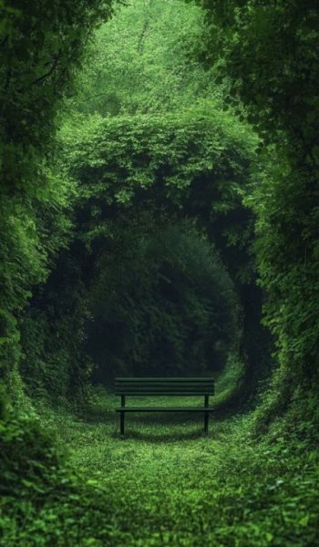  عکس های استوری طبیعت