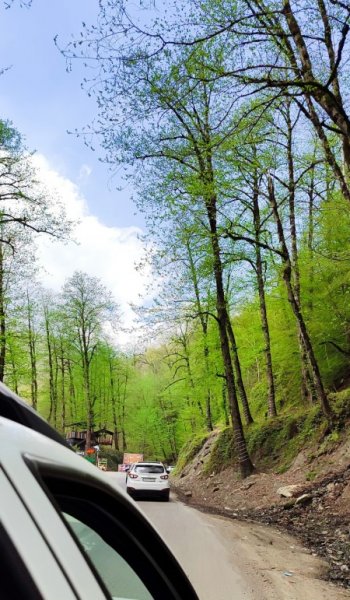  عکس های استوری طبیعت