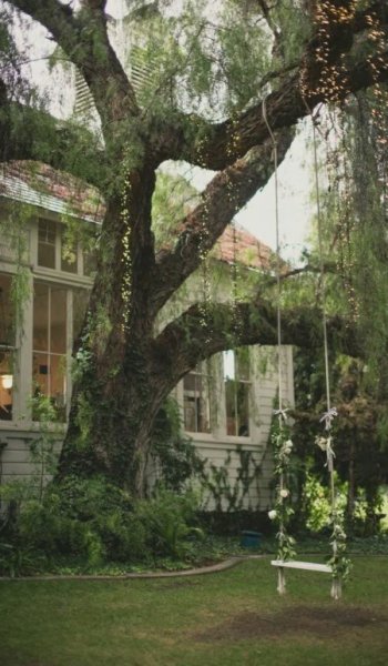  عکس های استوری طبیعت