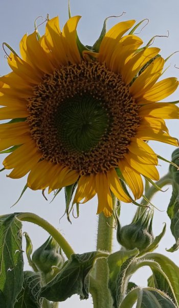  عکس های استوری طبیعت