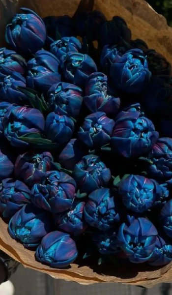  عکس های استوری طبیعت