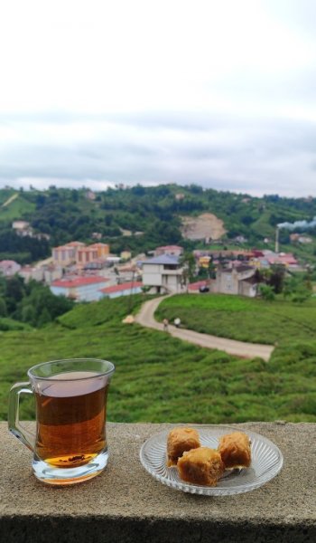  عکس های استوری طبیعت