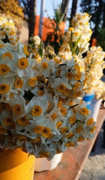  عکس های استوری طبیعت