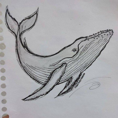  عکس های طراحی لباس