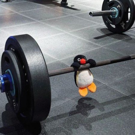  عکس های باشگاه