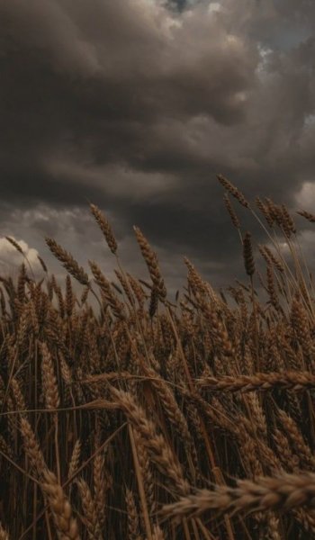  عکس هنری برای پروفایل